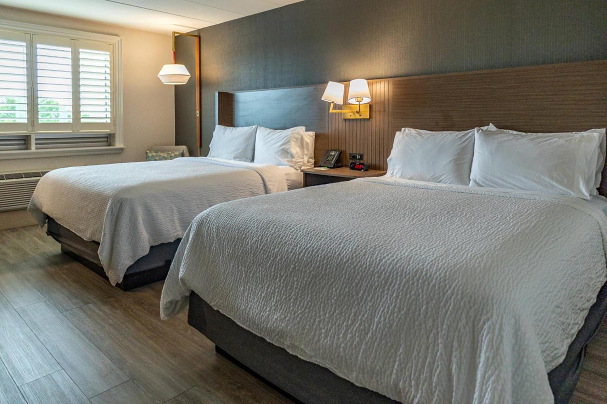 Sainte-Catherine Holiday Inn Hotel & Suites St.Catharines-Niagara By Ihg מראה חיצוני תמונה